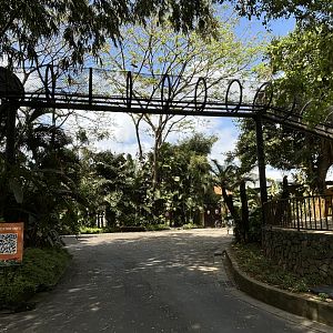 Tiger Exhibit #2 - overhead tunnel