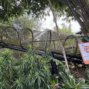 Tiger Exhibit #2 - overhead tunnel