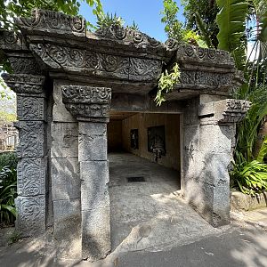 Ocelot + Pangolin Viewing Shelter