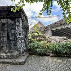 Ocelot + Pangolin Exhibits
