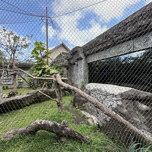 Ocelot + Pangolin Exhibits