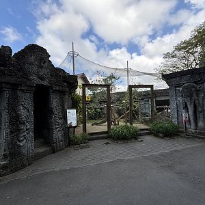 Ocelot + Pangolin Exhibits