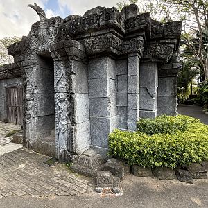 Ocelot + Pangolin Complex