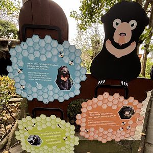 Sun Bear Exhibit Signs