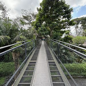 Visitor Bridge