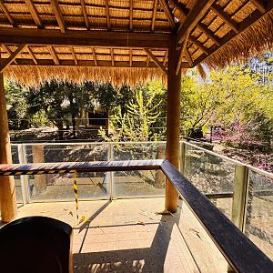 Sumatran tiger enclosure #1