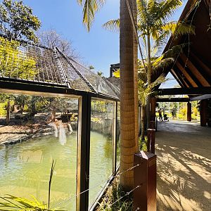 Sumatran tiger enclosure #2