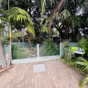 Former tree-kangaroo enclosure