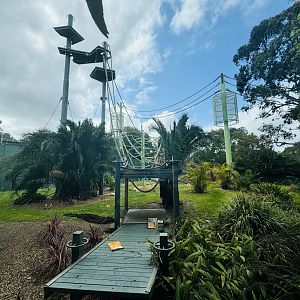 Sumatran orangutan enclosure