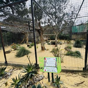 Serval enclosure