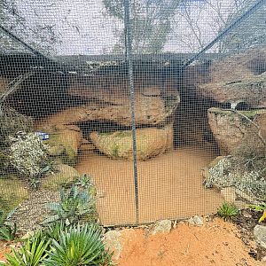 Fennec fox enclosure