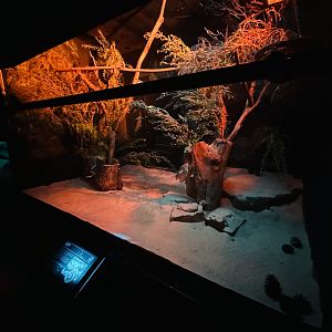 Squirrel glider enclosure