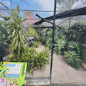 Sacred kingfisher enclosure