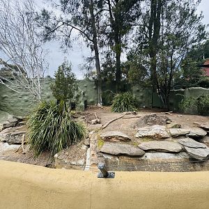 Cape porcupine enclosure