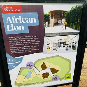 Future lion enclosure