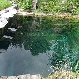 Lake Aquarium, top view