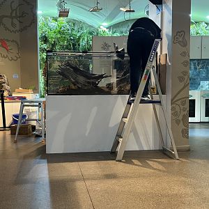 New envirodome exhibit