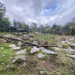 Brown bear first exhibit