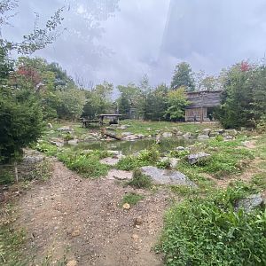 Brown bear second exhibit