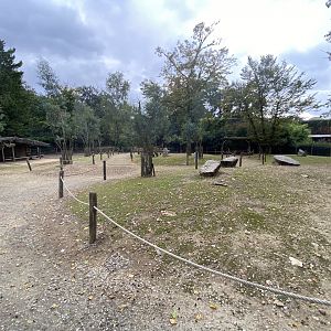 Red-necked wallaby Walkthrough