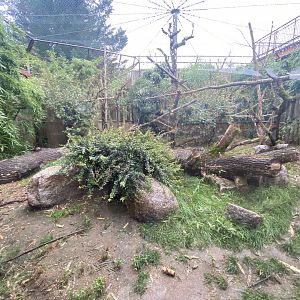 Fossa outdoor exhibit