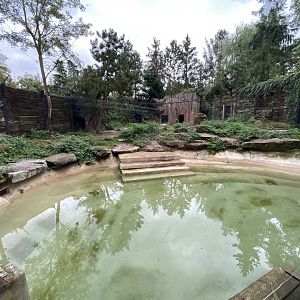 Little polar bear exhibit