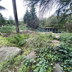Large polar bear exhibit