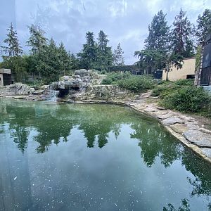 Large polar bear exhibit