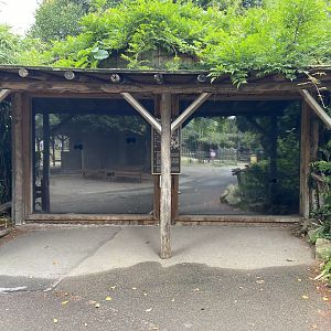 Sugar glider exhibit