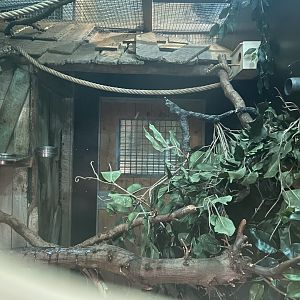 Sugar glider exhibit