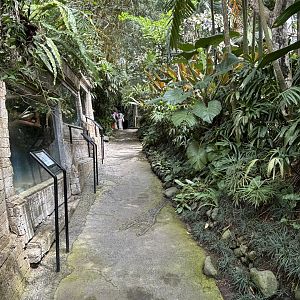 Pathway + Clouded Monitor Exhibit