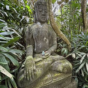 Jungle Statue