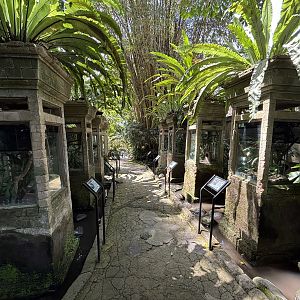 Assorted 8 Outdoor Terrariums