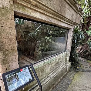 Torch Monitor Exhibit