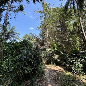 Saltwater Crocodile Exhibit #1