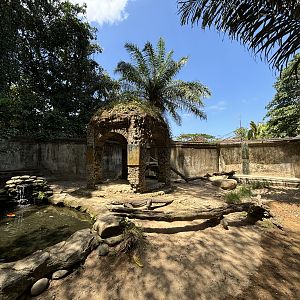 Komodo Dragon Exhibit