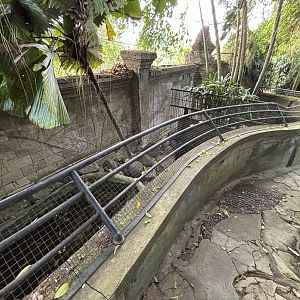 Saltwater Crocodile Exhibit #2