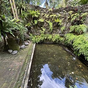 False Gharial Exhibit