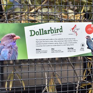 Dollarbird signage
