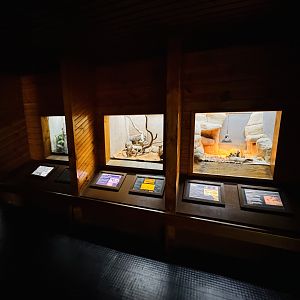 Reptile exhibits