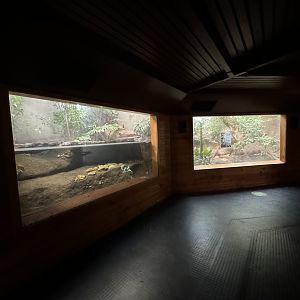 Pig-nosed Turtle enclosure