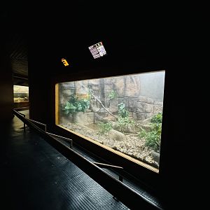 Green Anaconda enclosure