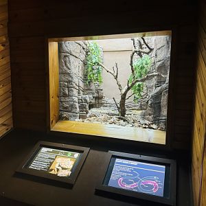 Rough-scaled Python enclosure