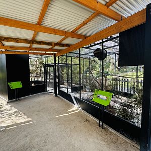 Dollarbird and potoroo enclosures