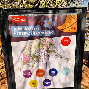Adelaide Zoo masterplan