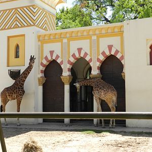 Ciro and Buddy - Ecoparque BA