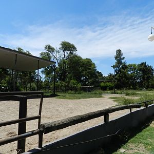 Giraffe exhibit - Ecoparque BA