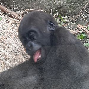 Jameela Making a Face