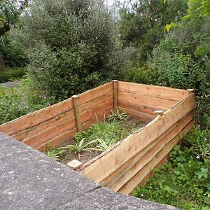 Strange planting area in the old meerkat enclosure 17.7.23