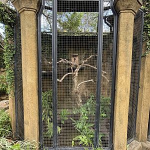 Hahn’s Macaw Aviary